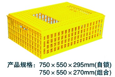 F002 成雞周轉箱